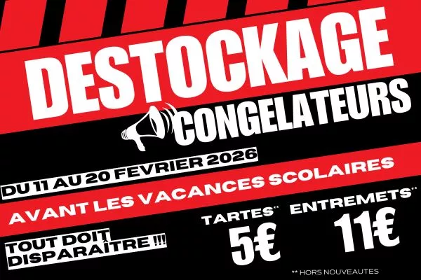 destockage congelateurs fevrier 2026